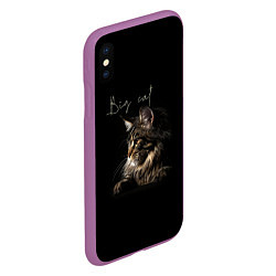 Чехол iPhone XS Max матовый Big cat Maine Coon, цвет: 3D-фиолетовый — фото 2