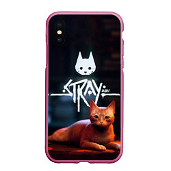 Чехол iPhone XS Max матовый Stray бродячий кот