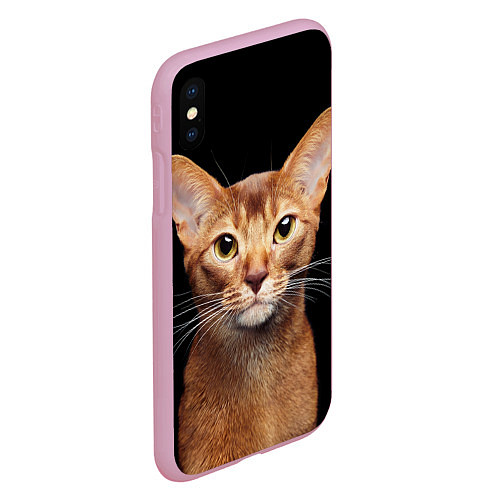 Чехол iPhone XS Max матовый Молодая абиссинская кошечка / 3D-Розовый – фото 2