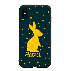 Чехол iPhone XS Max матовый Год кролика - 2023, цвет: 3D-черный
