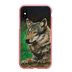 Чехол iPhone XS Max матовый Спокойный серый волк