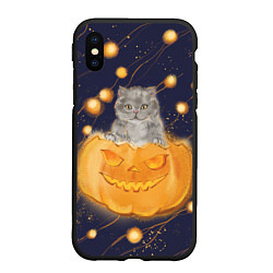 Чехол iPhone XS Max матовый Котик в тыкве, хеллоуин, цвет: 3D-черный