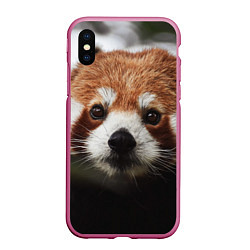 Чехол iPhone XS Max матовый Малая панда