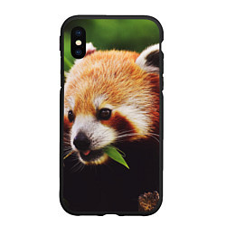 Чехол iPhone XS Max матовый Красная милая панда