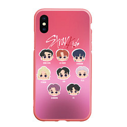 Чехол iPhone XS Max матовый Chibi Stray Kids, цвет: 3D-баблгам