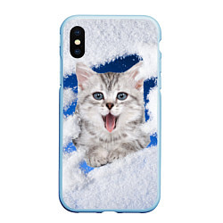 Чехол iPhone XS Max матовый Котёнок в снегу