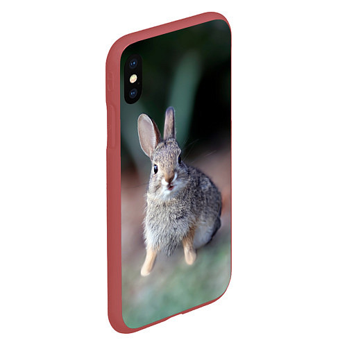 Чехол iPhone XS Max матовый Малыш кролик / 3D-Красный – фото 2