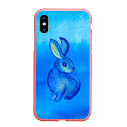 Чехол iPhone XS Max матовый Водяной кролик символ 2023, цвет: 3D-баблгам