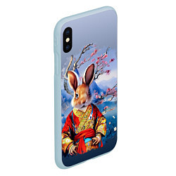 Чехол iPhone XS Max матовый Кролик в китайском халате, цвет: 3D-голубой — фото 2