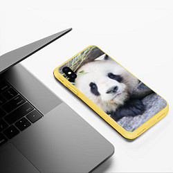 Чехол iPhone XS Max матовый Панда отдыхает, цвет: 3D-желтый — фото 2