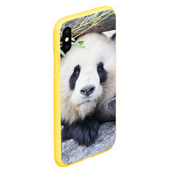 Чехол iPhone XS Max матовый Панда отдыхает, цвет: 3D-желтый — фото 2