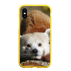 Чехол iPhone XS Max матовый Красная панда ждёт