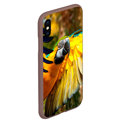 Чехол iPhone XS Max матовый Взлёт попугая / 3D-Коричневый – фото 2