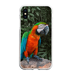 Чехол iPhone XS Max матовый Попугай Макао, цвет: 3D-белый