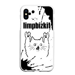 Чехол iPhone XS Max матовый Limp Bizkit рок кот на светлом фоне, цвет: 3D-белый