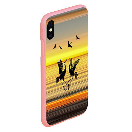 Чехол iPhone XS Max матовый Журавли в танце / 3D-Баблгам – фото 2