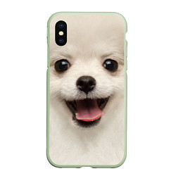 Чехол iPhone XS Max матовый Белая собачка - Померанский Шпиц, цвет: 3D-салатовый