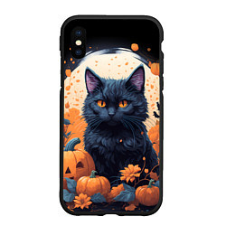 Чехол iPhone XS Max матовый Котик и тыквы - хеллоуин, цвет: 3D-черный