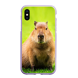 Чехол iPhone XS Max матовый Capybara on green grass, цвет: 3D-светло-сиреневый