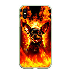 Чехол iPhone XS Max матовый Адский Пёс