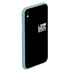 Чехол iPhone XS Max матовый Lim Bizkit logo, цвет: 3D-мятный — фото 2