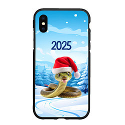 Чехол iPhone XS Max матовый Змейка в новогодней шапке 2025, цвет: 3D-черный