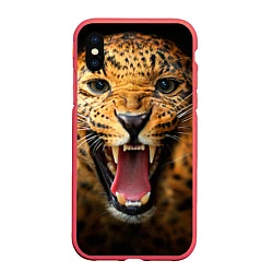 Чехол iPhone XS Max матовый Рык леопарда