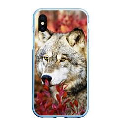 Чехол iPhone XS Max матовый Волк в кустах, цвет: 3D-голубой