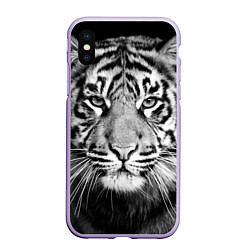 Чехол iPhone XS Max матовый Красавец тигр