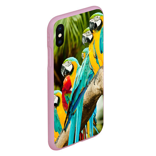 Чехол iPhone XS Max матовый Попугаи на ветке / 3D-Розовый – фото 2