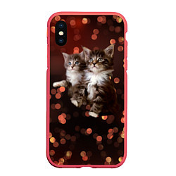 Чехол iPhone XS Max матовый Котята, цвет: 3D-красный