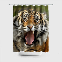 Шторка для душа Удивленный тигр, цвет: 3D-принт
