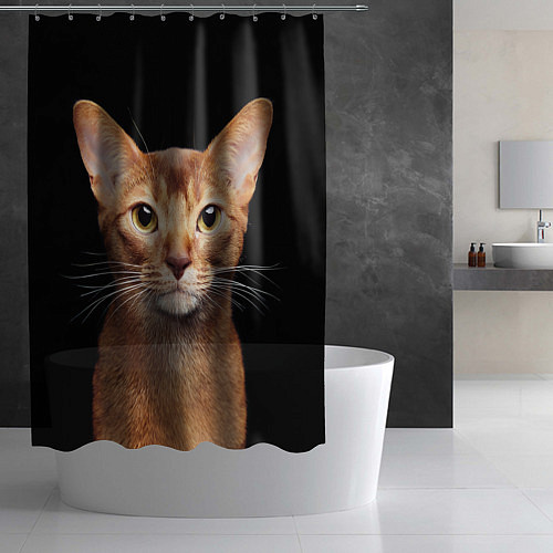 Шторка для ванной Молодая абиссинская кошечка / 3D-принт – фото 2