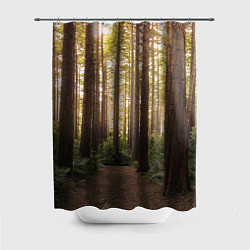 Шторка для душа Дневной лес, деревья и свет, цвет: 3D-принт
