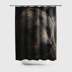 Шторка для душа Медведь, цвет: 3D-принт