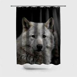 Шторка для душа Серый волк на темном фоне, цвет: 3D-принт