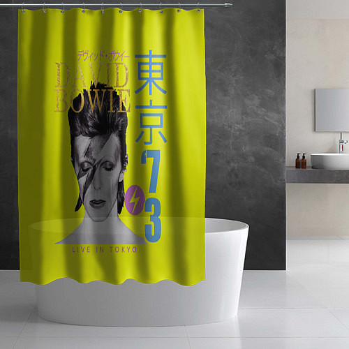 Шторка для ванной David Bowie 1973 / 3D-принт – фото 2