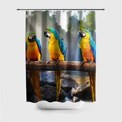 Шторка для душа Экзотические попугаи, цвет: 3D-принт