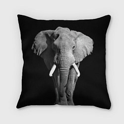 Подушка квадратная Старый слон, цвет: 3D-принт