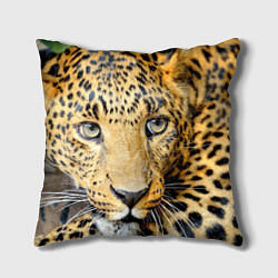 Подушка квадратная Улыбка леопарда цвета 3D-принт — фото 1