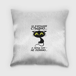 Подушка квадратная За вчерашнее стыдно