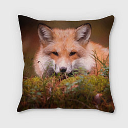 Подушка квадратная Лисица в засаде