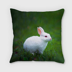 Подушка квадратная Кролик на фоне травы, цвет: 3D-принт
