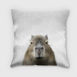 Подушка квадратная Капибара пофигист
