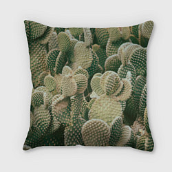 Подушка квадратная Поле кактусов