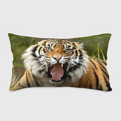 Подушка-антистресс Удивленный тигр