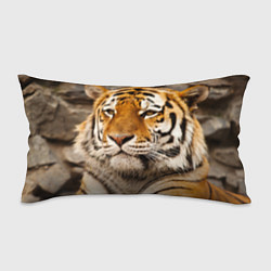 Подушка-антистресс Мудрый тигр, цвет: 3D-принт