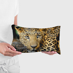 Подушка-антистресс Улыбка леопарда, цвет: 3D-принт — фото 2