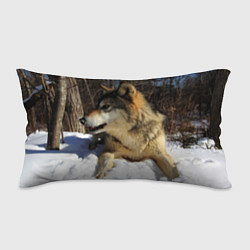 Подушка-антистресс Волк лежит на снегу