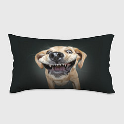 Подушка-антистресс Улыбающаяся Собака, цвет: 3D-принт